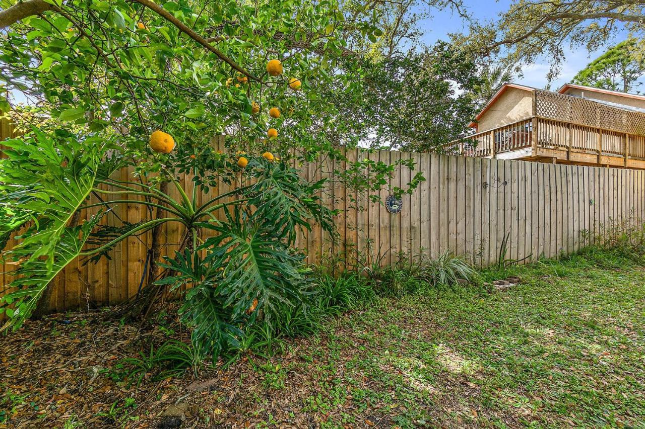 Orange Oasis - Walk To Historic District Villa St. Augustine Esterno foto